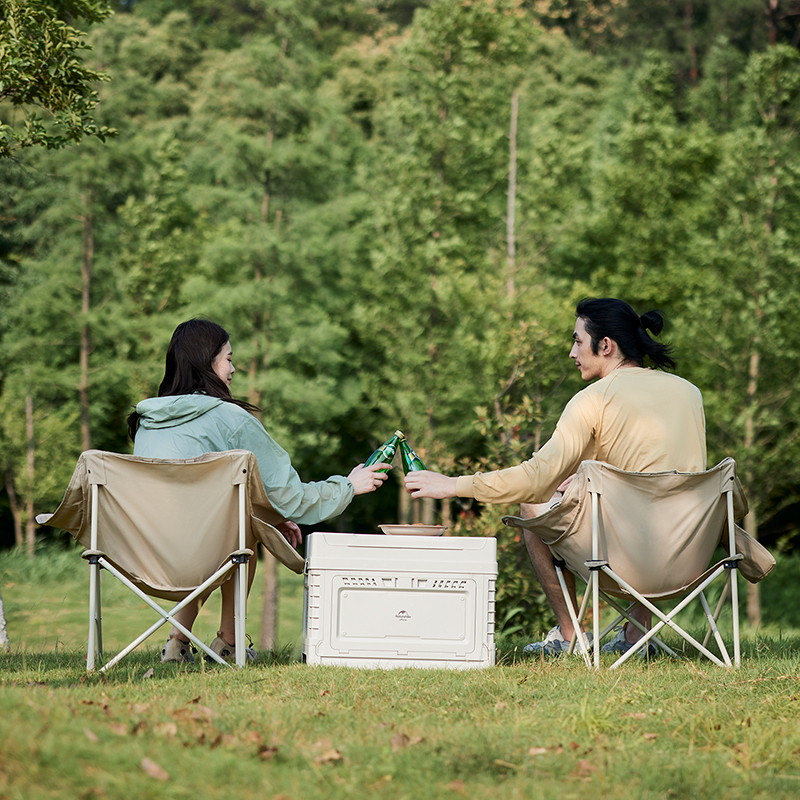 Кресло туристическое Naturehike Stellaluna T01 складное, 80х53х66 см, до 110 кг, серо-черное