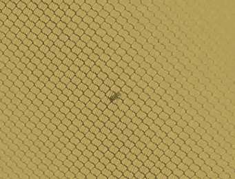 Палатка Naturehike P-Series 2-местная, алюминиевый каркас, желтая