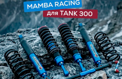 Комплект подвески Mamba Racing
